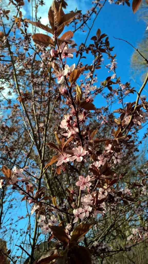 WP_20160403_17_15_00_Pro